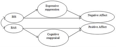 Behavioral Inhibition and Activation Systems, and Emotional Regulation in Individuals With Chronic Musculoskeletal Pain